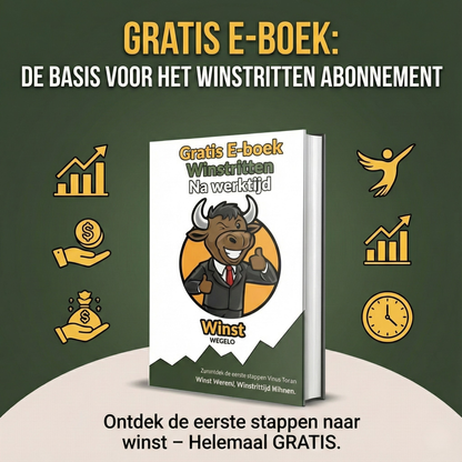 E-boek Winstritten Na Werktijd